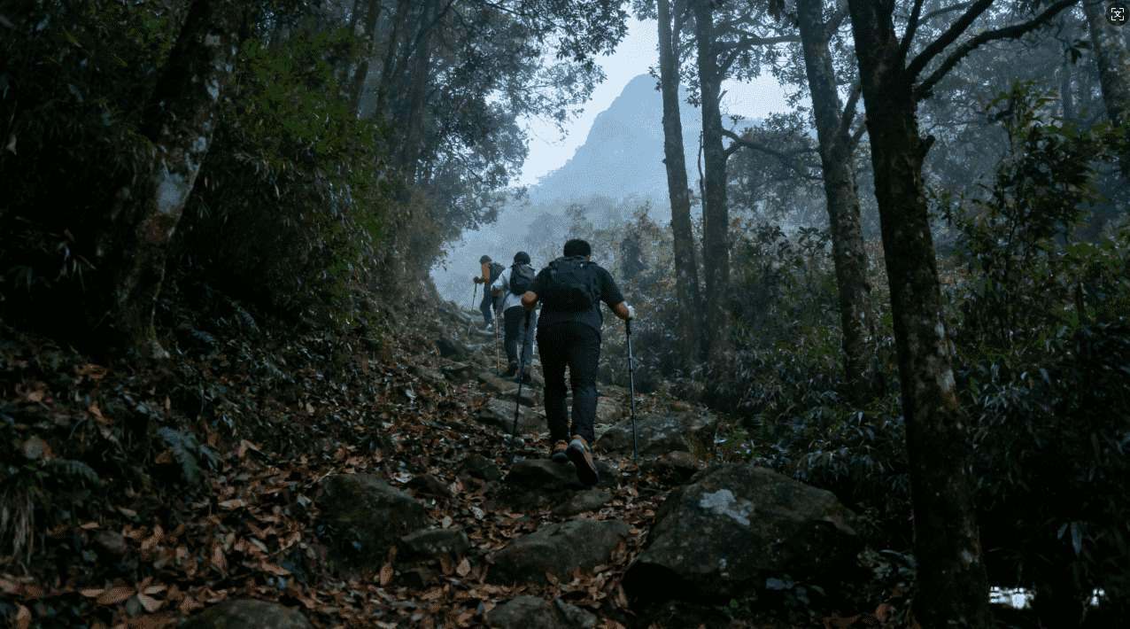 小火箭梯子加速器安全稳定的选择与优化方案